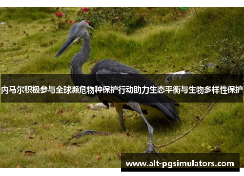内马尔积极参与全球濒危物种保护行动助力生态平衡与生物多样性保护 内马尔积极参与全球濒危物种保护行动助力生态平衡与生物多样性保护