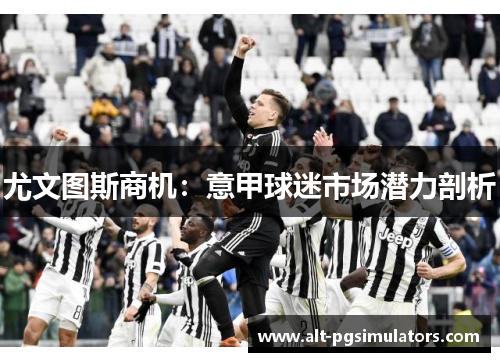 尤文图斯商机:意甲球迷市场潜力剖析 尤文图斯商机:意甲球迷市场潜力剖析