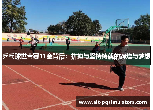 乒乓球世青赛11金背后：拼搏与坚持铸就的辉煌与梦想