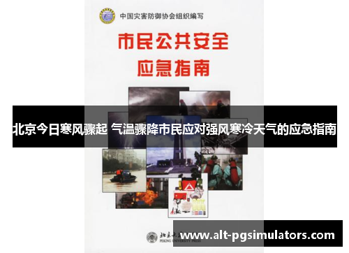 北京今日寒风骤起 气温骤降市民应对强风寒冷天气的应急指南 北京今日寒风骤起 气温骤降市民应对强风寒冷天气的应急指南