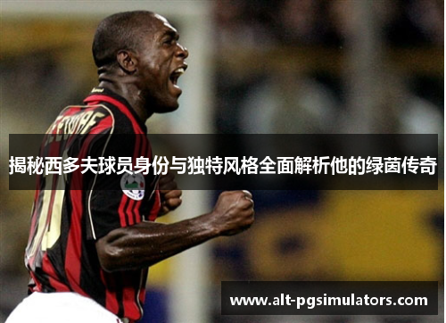 揭秘西多夫球员身份与独特风格全面解析他的绿茵传奇 揭秘西多夫球员身份与独特风格全面解析他的绿茵传奇