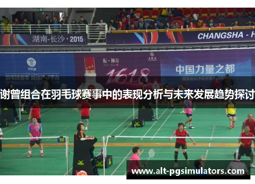 谢曾组合在羽毛球赛事中的表现分析与未来发展趋势探讨 谢曾组合在羽毛球赛事中的表现分析与未来发展趋势探讨