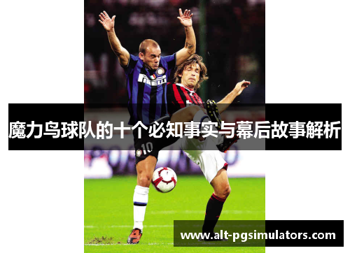 魔力鸟球队的十个必知事实与幕后故事解析 魔力鸟球队的十个必知事实与幕后故事解析